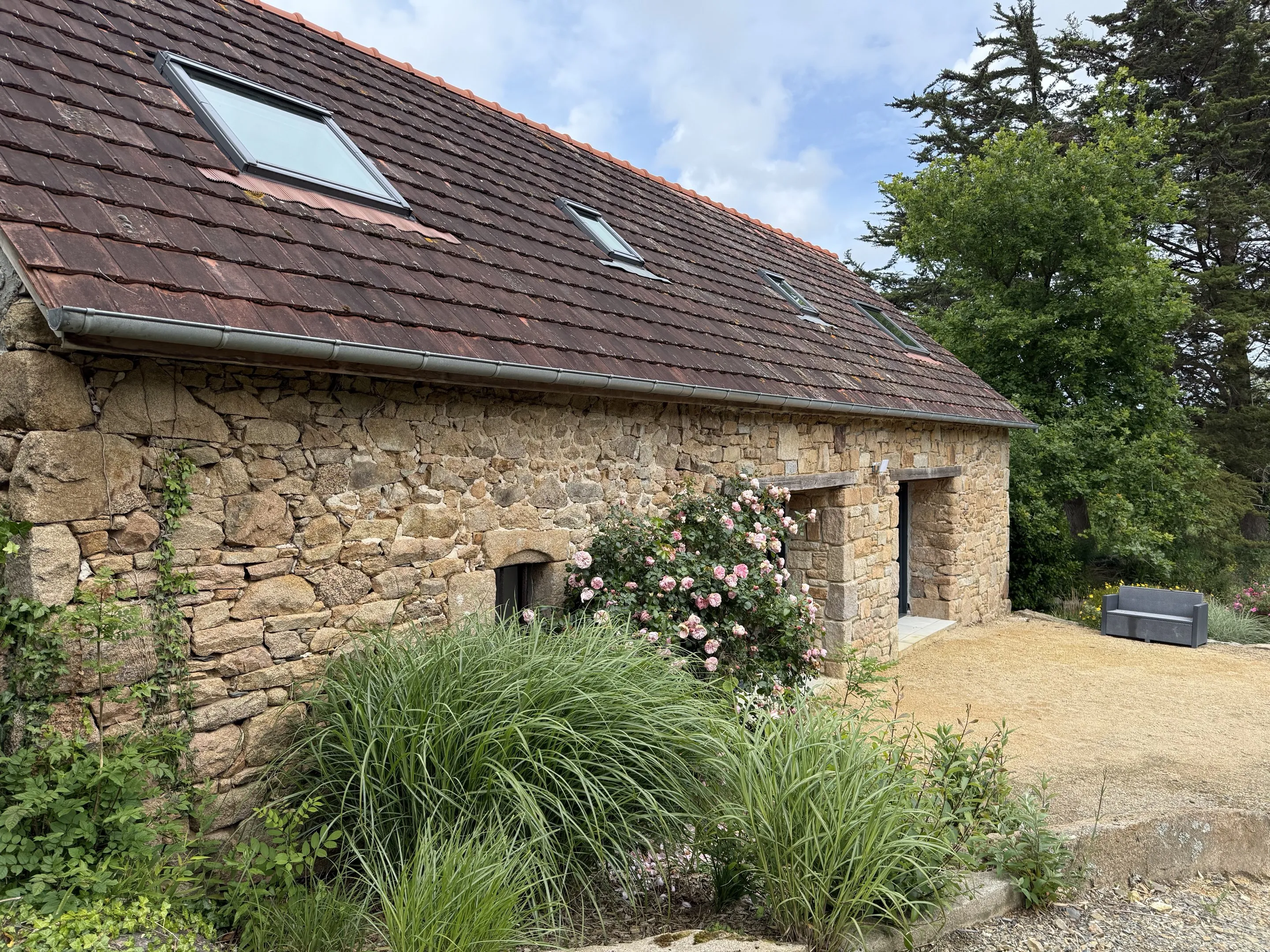 Le Cottage, sa façade de pierre, ses rosiers et ses graminées, en mai